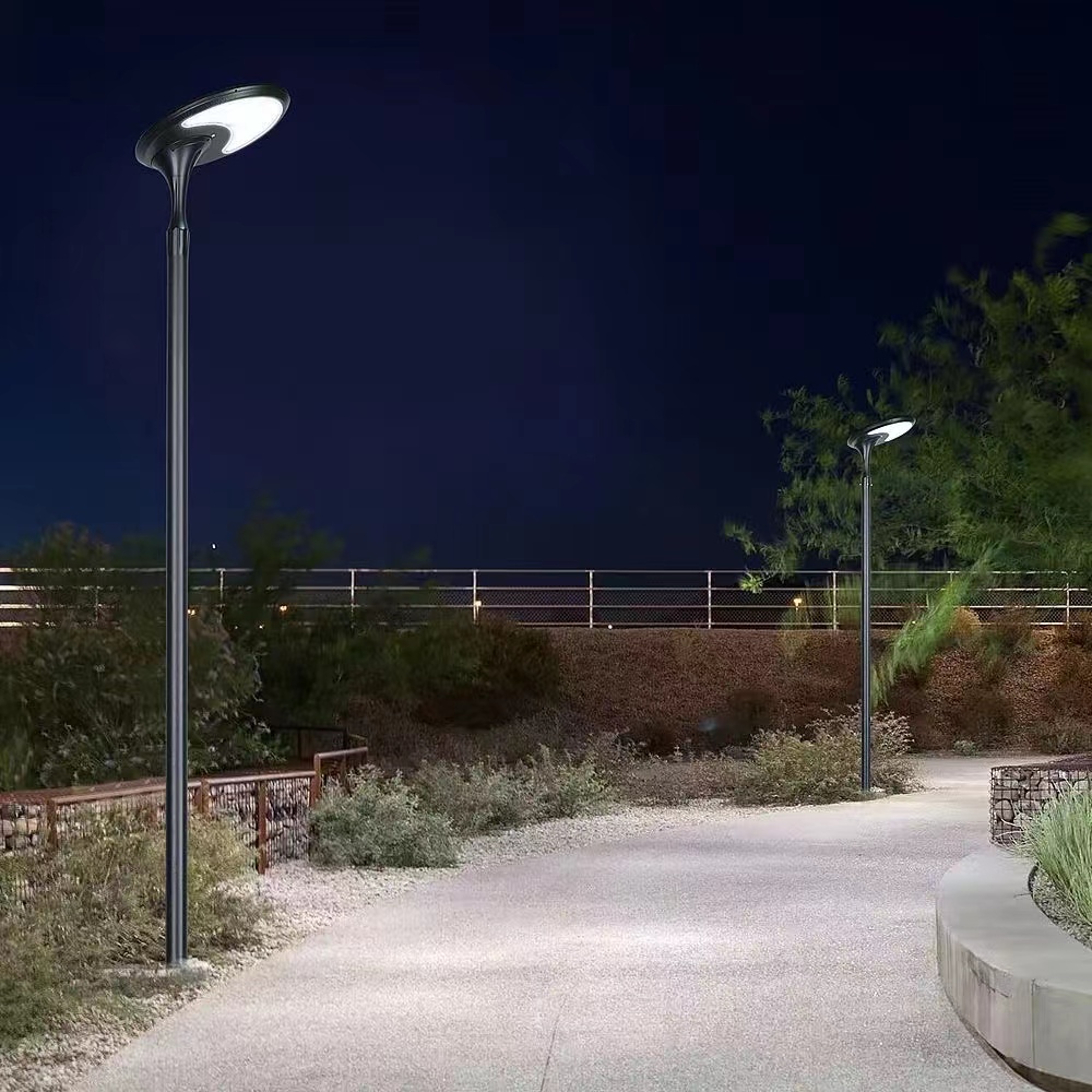 TYD2808 led 80W solar-powered garden street light 5M height